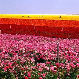 《Only UP》作者宣布即将下架steam 心理压力过大将制作新游《Kith》